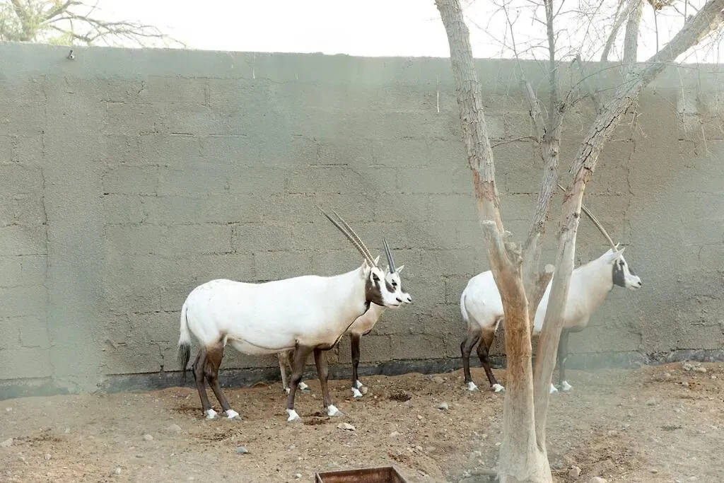 Khatt Mountain Farm Villa Ras al-Khaimah 0*,  Verenigde Arabische Emiraten